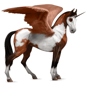 winged riding unicorn bay blanket 