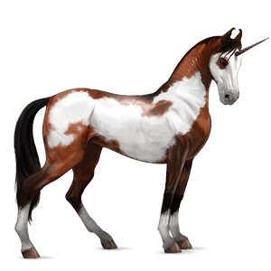 riding unicorn appaloosa palomino spotted blanket 