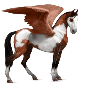 riding pegasus quarter horse cherry bay