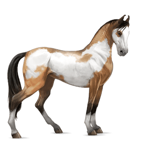 riding horse tennessee walker palomino