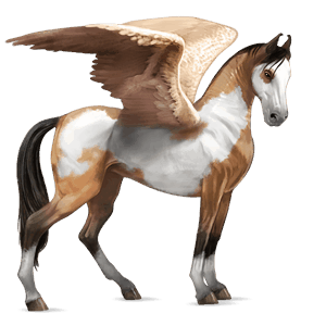 riding pegasus appaloosa palomino blanket 