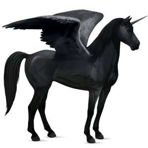 winged riding unicorn friesian black