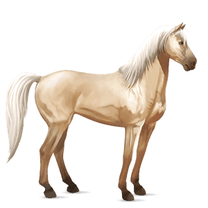 riding horse mustang light gray