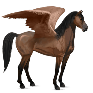 riding pegasus bay