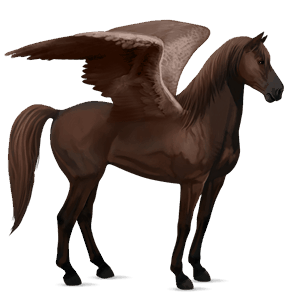 riding pegasus mustang dark bay