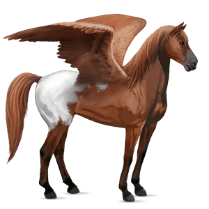 riding pegasus mustang chestnut