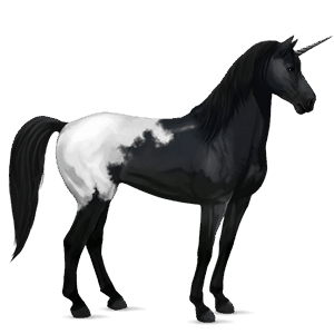 riding unicorn mustang cherry spotted blanket