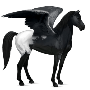 riding pegasus mustang chestnut spotted blanket 