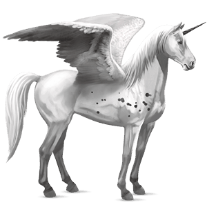 winged riding unicorn black