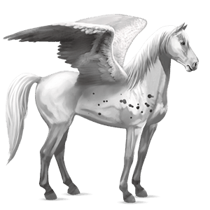 riding pegasus mustang palomino