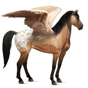 riding pegasus mustang dark bay