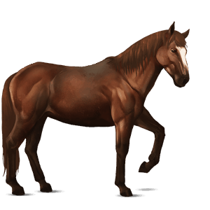 riding horse hanoverian chestnut