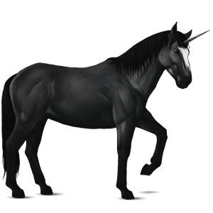 riding unicorn nokota black