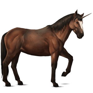 riding unicorn chestnut