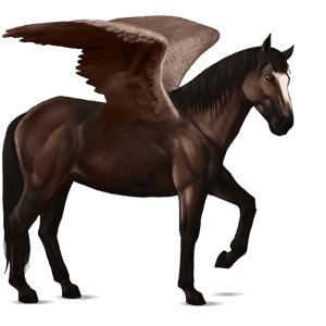 riding pegasus quarter horse palomino