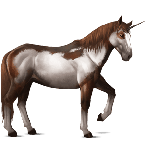 riding unicorn nokota chestnut overo