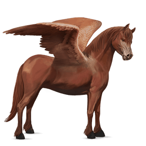 pegasus pony newfoundland pony chestnut