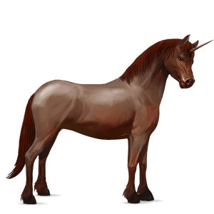unicorn pony strawberry roan