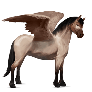 pegasus pony newfoundland pony roan
