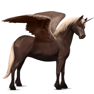 winged unicorn pony  shetland bay