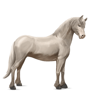 pony kerry bog light gray