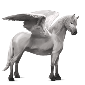 pegasus pony connemara light gray