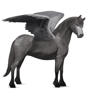 pegasus pony dapple gray