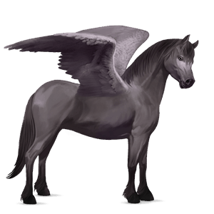 pegasus pony welsh mouse gray