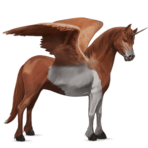 winged unicorn pony  chestnut tobiano