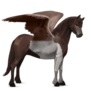 pegasus pony gulblakk