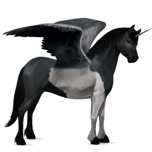 winged unicorn pony  black tobiano