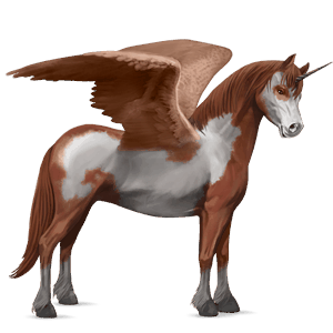 winged unicorn pony  chestnut overo