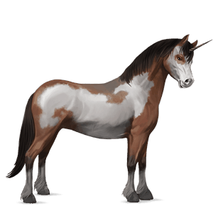 unicorn pony fjord brunblakk