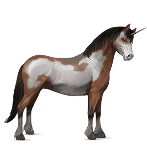 unicorn pony brunblakk
