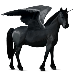 winged unicorn pony  highland pony black
