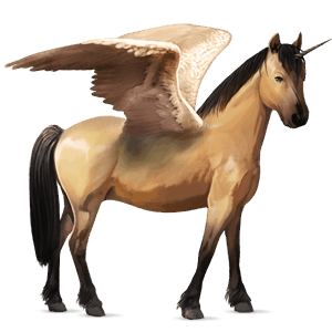 winged unicorn pony  welsh dun