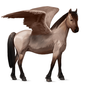 pegasus pony welsh roan