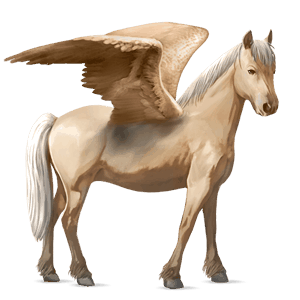 pegasus pony quarter pony cremello