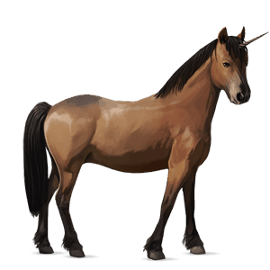 unicorn pony newfoundland pony dark bay