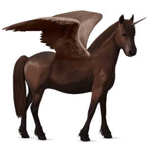 winged unicorn pony  newfoundland pony liver chestnut