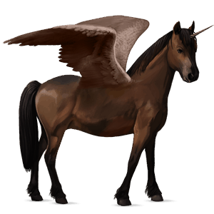 winged unicorn pony  newfoundland pony dark bay