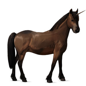 unicorn pony quarter pony dark bay
