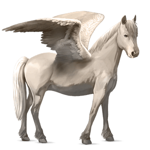 pegasus pony quarter pony palomino overo