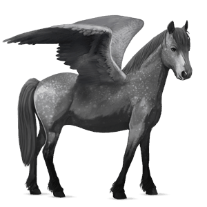 pegasus pony quarter pony dapple gray