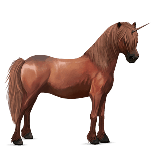 unicorn pony quarter pony chestnut