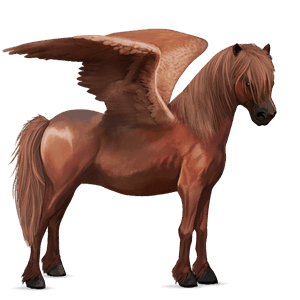 pegasus pony new forest black