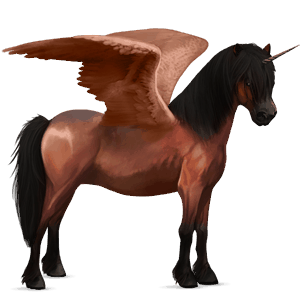 winged unicorn pony  fjord brunblakk