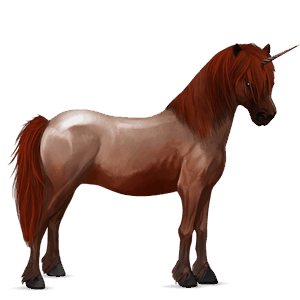 unicorn pony newfoundland pony bay