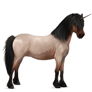 unicorn pony highland pony roan