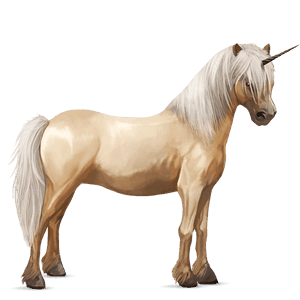 unicorn pony palomino tobiano